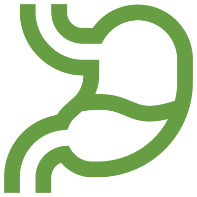 Digestion & Gut Health
